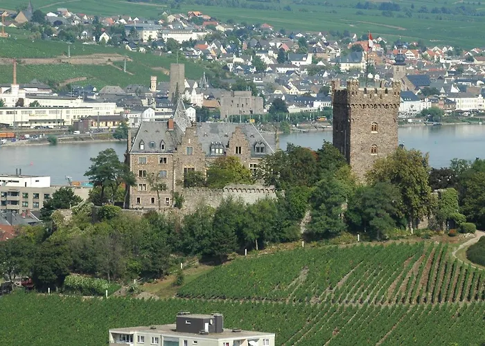 Haus Zum Rochusberg 2 莱茵河畔的宾根