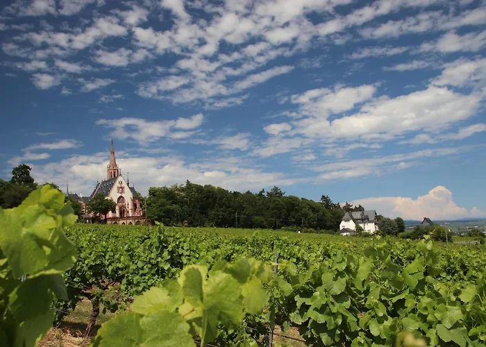 Haus Zum Rochusberg 2 莱茵河畔的宾根