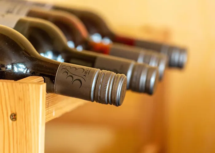 Haus Zum Rochusberg 2