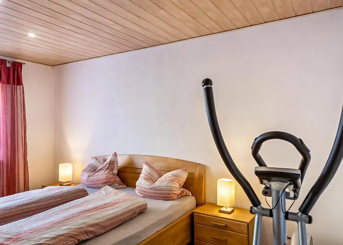 公寓 Haus Zum Rochusberg 2 莱茵河畔的宾根