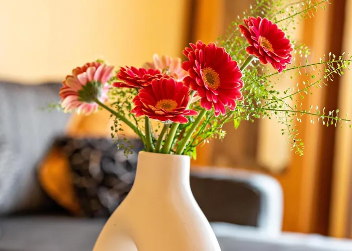 Haus Zum Rochusberg 2 * 莱茵河畔的宾根